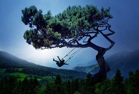 Swing jigsaw puzzle